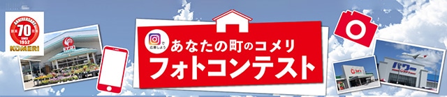 ���Ȃ��̒��̃R�����t�H�g�R���e�X�g