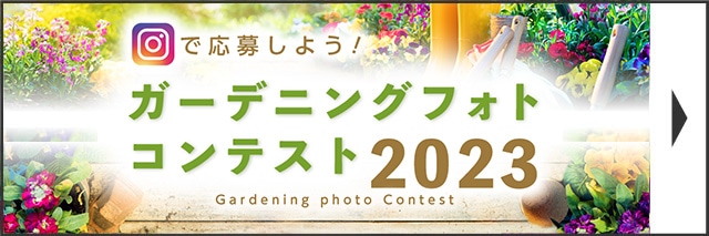 �K�[�f�j���O�R���e�X�g