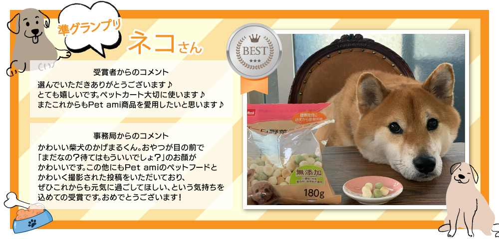 �y���O�����v���i���j�z�l�R����