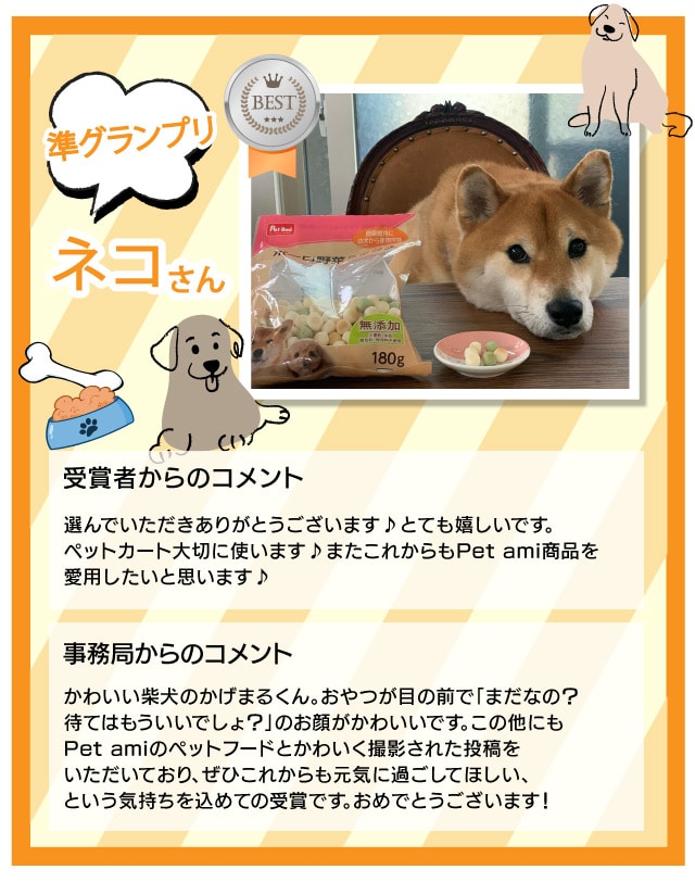 �y���O�����v���i���j�z�l�R����