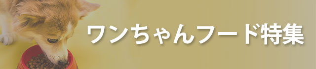 ���������t�[�h���W