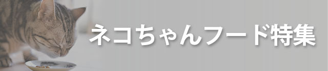 �l�R�����t�[�h���W