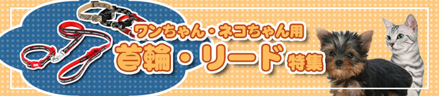 ��ցE���[�h���W