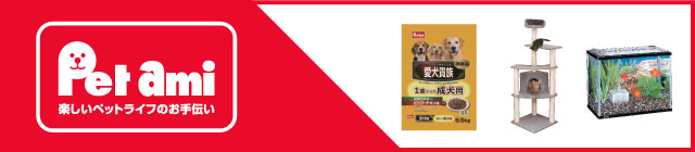 �y�b�g�A�~