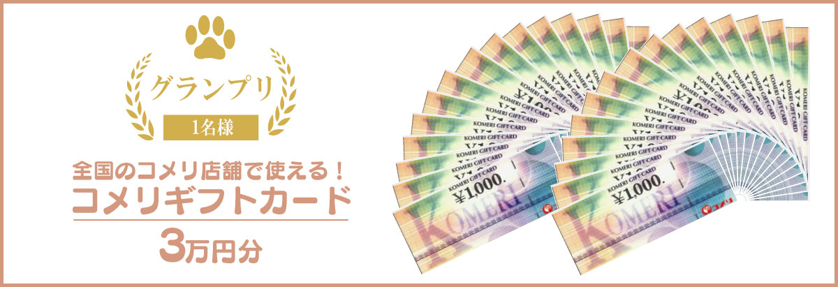 �O�����v��