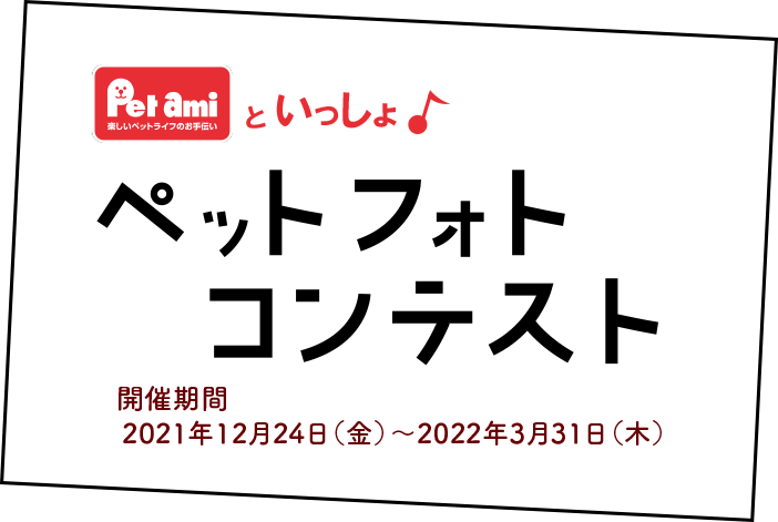 Petami�Ƃ��������y�b�g�t�H�g�R���e�X�g