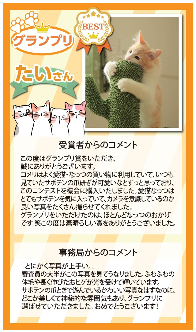 �y�O�����v���z�����@����