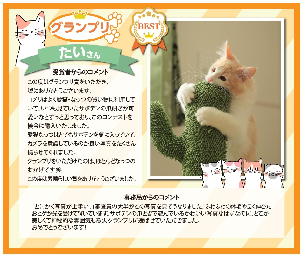 �y�O�����v���z�����@����