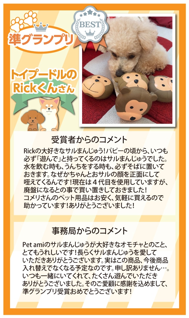 �y���O�����v���z�g�C�v�[�h����Rick����@����