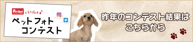 �y�b�g�t�H�g�R���e�X�g2021