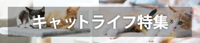 �y�b�g���C�t���W