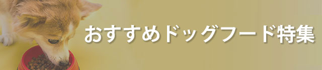 ���������t�[�h���W