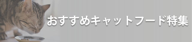 �l�R�����t�[�h���W