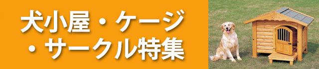 �������E�P�[�W�E�T�[�N�����W