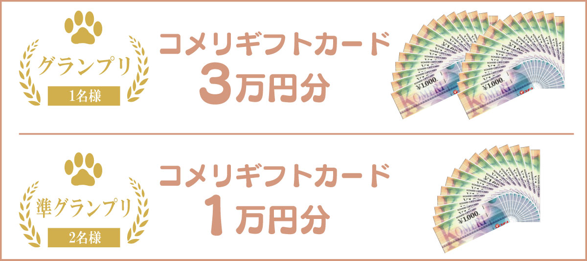 �O�����v��