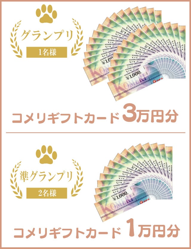 �O�����v��