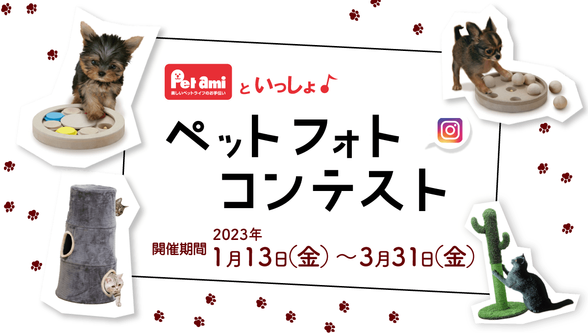 Petami�Ƃ��������y�b�g�t�H�g�R���e�X�g