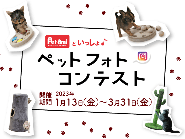 Petami�Ƃ��������y�b�g�t�H�g�R���e�X�g