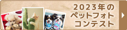 2023年コンテスト