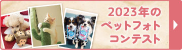 2023年コンテスト
