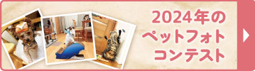2024年コンテスト
