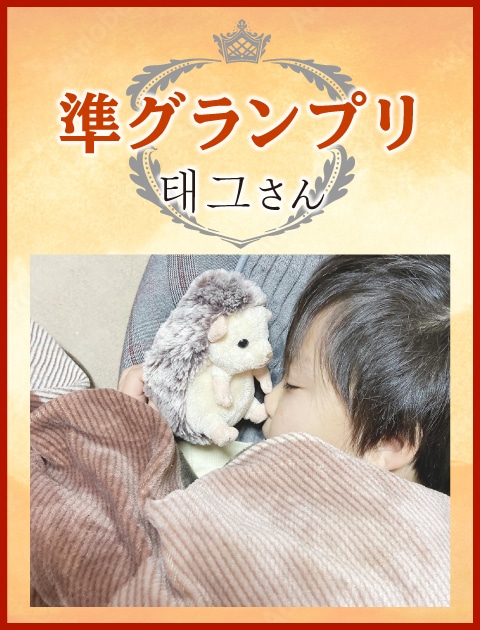 �y���O�����v���z태그����