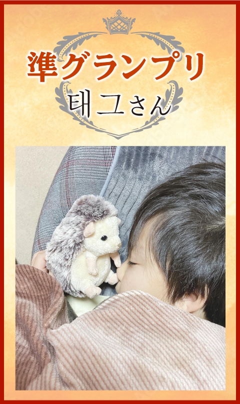 �y���O�����v���z태그����