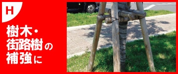 樹木、街路樹の補強に
