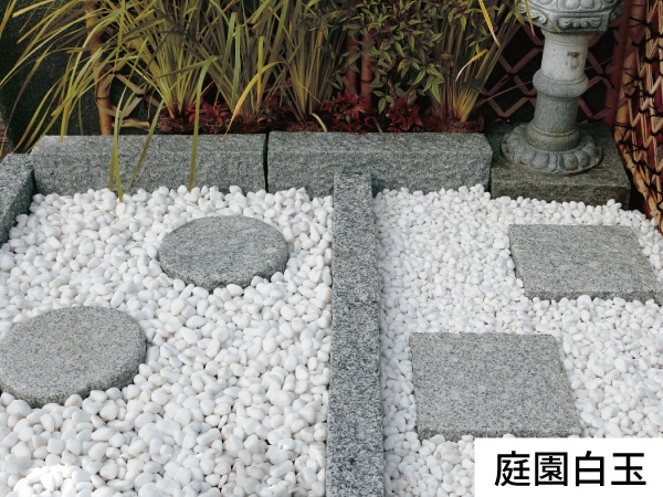 庭園白玉