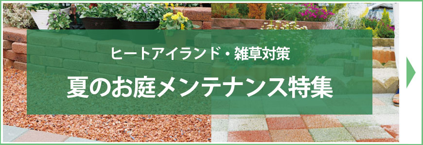 �Ă̂��냁���e�i���X���W