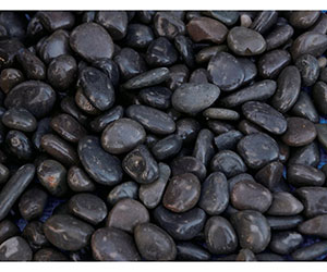 庭園黒玉 8分 10kg