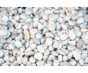 庭園白玉 5分 10kg