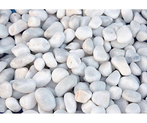 庭園白玉 8分 10kg