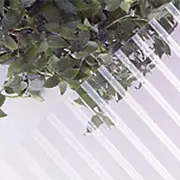 �|���J�[�{�l�[�g����