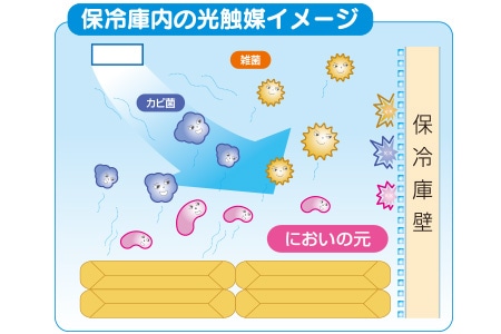 庫内は抗菌・防カビ仕様