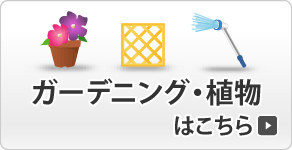 �K�[�f�j���O�E�A��