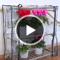 ���b�L�p�C�v�ō��r�j�[�������̍���