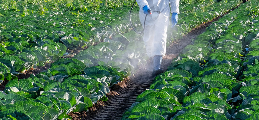 動力噴霧器・散布機特集