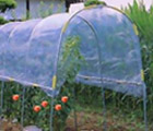 雨よけハウス・菜園ハウス特集