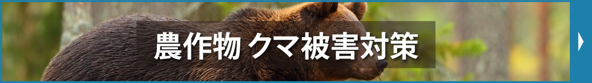 クマ対策