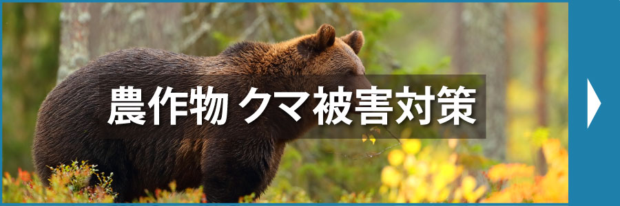 クマ対策