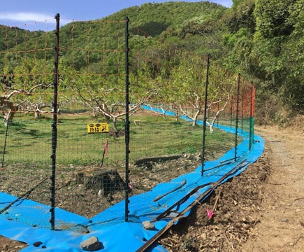 �G���L�l�b�g