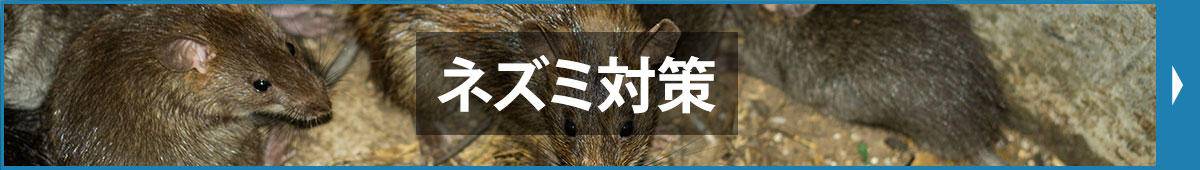 ネズミ対策
