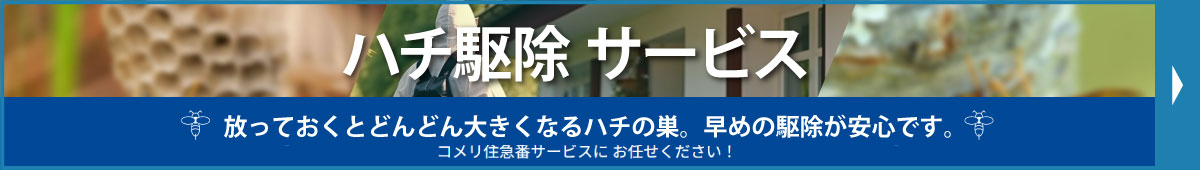 ハチ駆除 サービス