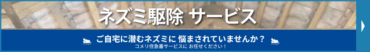 ネズミ駆除 サービス