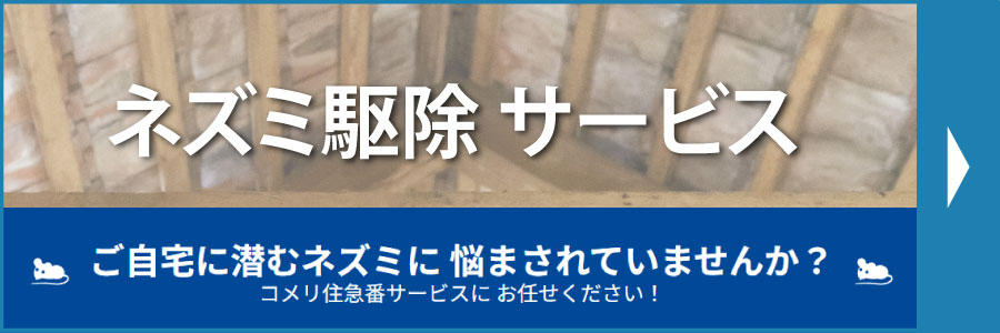 ネズミ駆除 サービス