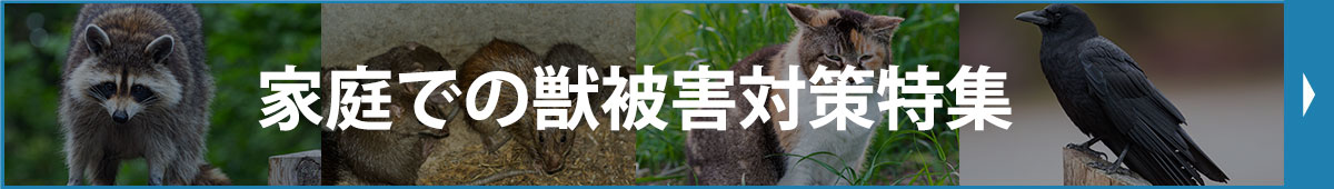 家庭での獣被害対策特集