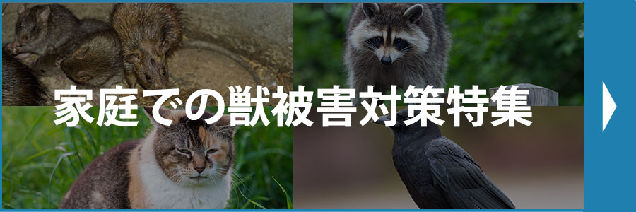 家庭での獣被害対策特集