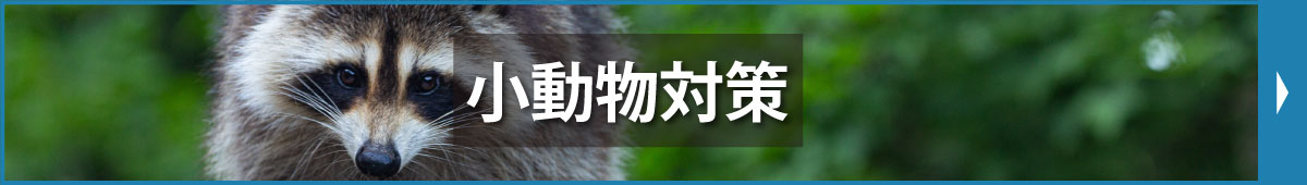 小動物対策
