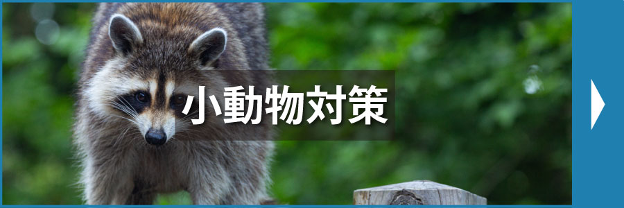 小動物対策